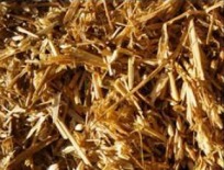 Chopped straw alone will not prevent acidosis