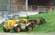 Take care filling the pit. Good consolidation is essential. Make sure that you have enough pit capacity. Never overfill silage pits and never have slopes of more than 30°
