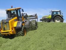 Take care when selecting the best silage additive. A large clamp contains many thousands of pounds worth of forage