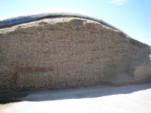 Maize Silage treated with Ultra-Sile Maize additive and sealed with Silostop for reduced losses, minimal spoilage and less heating