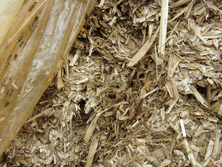 The use of Silostop with Ultra-Sile Additive often leads to no visible waste on silage, wholecrop and maize clamps