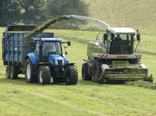 Silage Additives are very cost effective and profitable even at low milk prices
