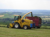 Your silage quality is important. All silage should be treated with an effective forage additive for maximum profitability.