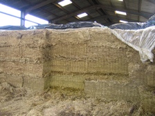 Quality silage can only be guaranteed if the pit is air tight. Seal quickly and thoroughly using Silostop Oxygen Barrier